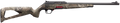 294550731.png
