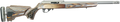 294550762.png