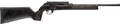 294550794.png