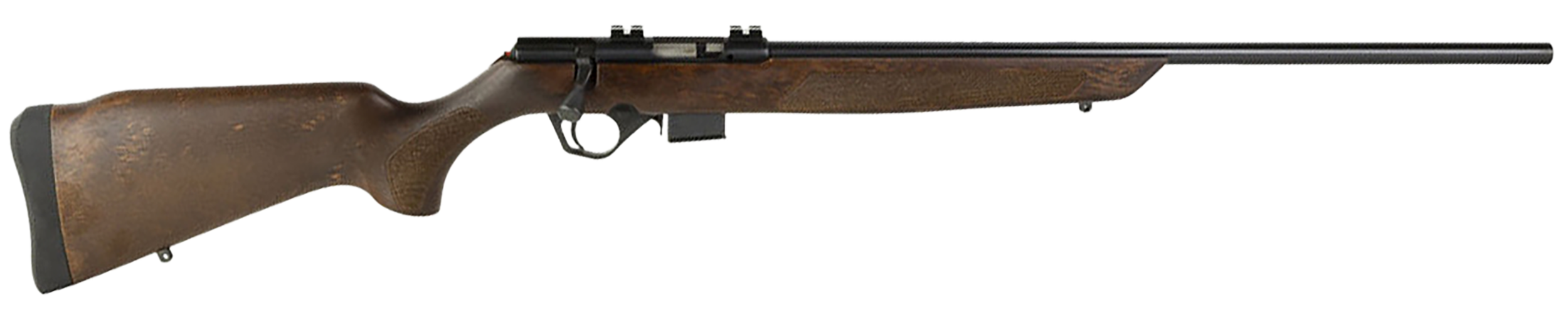 294550815.png