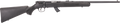 294550841.png