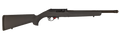 294550892.png