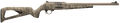 294550920.png