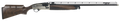 294551172.png