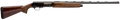 294551178.png