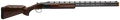 294551179.png