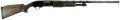 294551181.png