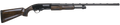294551184.png