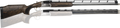 294551195.png