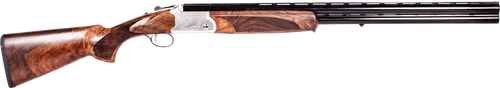 294551209.png
