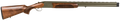 294551229.png