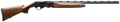 294551232.png