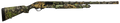 294551241.png