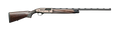 294551245.png