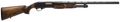 294551250.png
