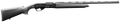 294551259.png
