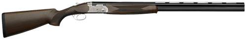 294551270.png