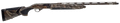 294551292.png