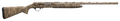 294551319.png