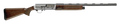 294551321.png