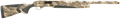 294551343.png