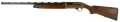 294551349.png