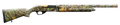 294551356.png