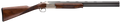 294551381.png
