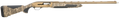 294551382.png