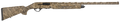 294551389.png