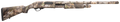 294551417.png