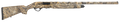 294551418.png