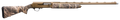 294551422.png