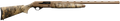 294551445.png