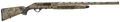 294551446.png