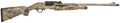 294551452.png