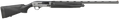 294551462.png