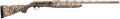 294551473.png