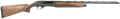 294551487.png
