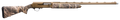 294551505.png