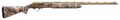 294551518.png