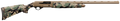 294551524.png