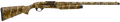 294551572.png