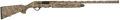 294551587.png