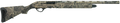 294551601.png