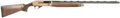 294551605.png