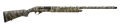 294551619.png