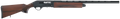 294551646.png