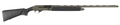 294551655.png