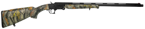 294551673.png